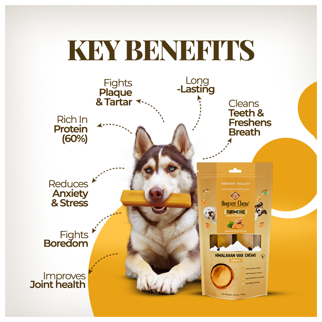 Dogsee Himalayan Yak Cheese Original Chews