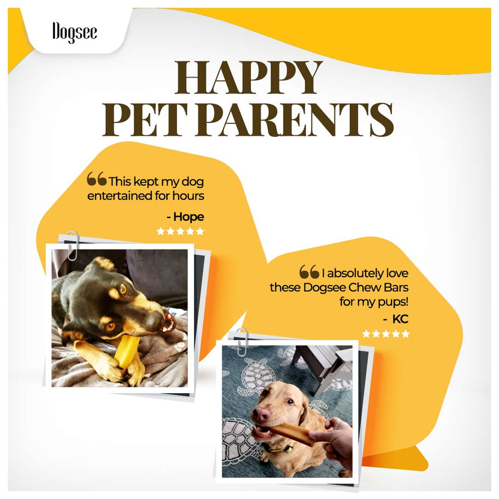 Dogsee Himalayan Yak Cheese Original Chews